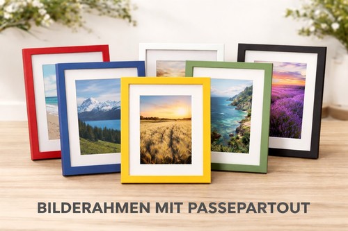 Eleganter bilderrahmen 6 - eleganter,