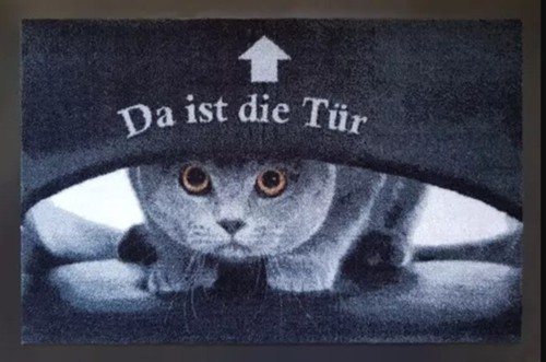 Fußmatte katze kätzchen - fußmatte,